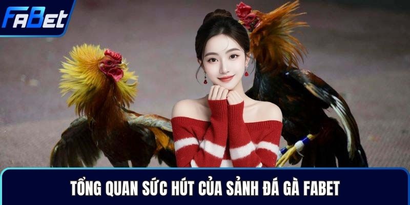 Tổng quan sức hút của sảnh đá gà Fabet