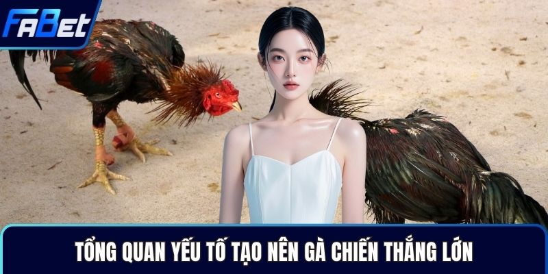 Tổng quan yếu tố tạo nên gà chiến thắng lớn