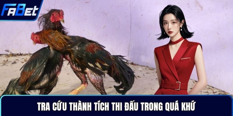 Tra cứu thành tích thi đấu trong quá khứ